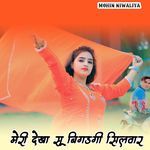 मेरी देखा सू बिगड़गी सिलवार