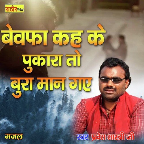 Bewafa Kehke Pukara To Bura Maan Gaye (Hindi)