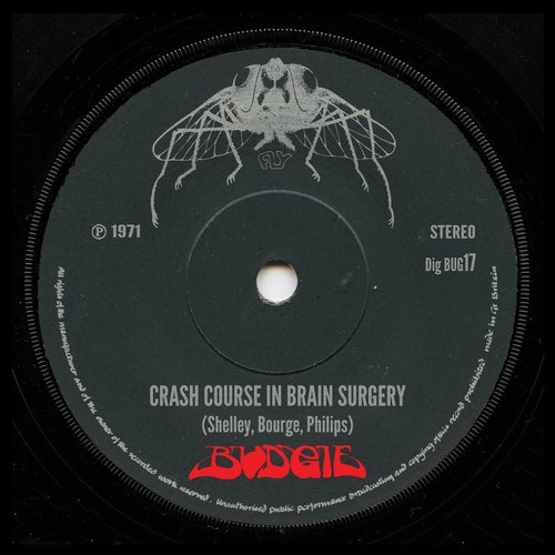 Crash Course In Brain Surgery (2013 Remaster)