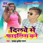 Dilwe Me Filing Kare