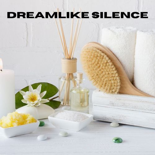 Dreamlike Silence_poster_image