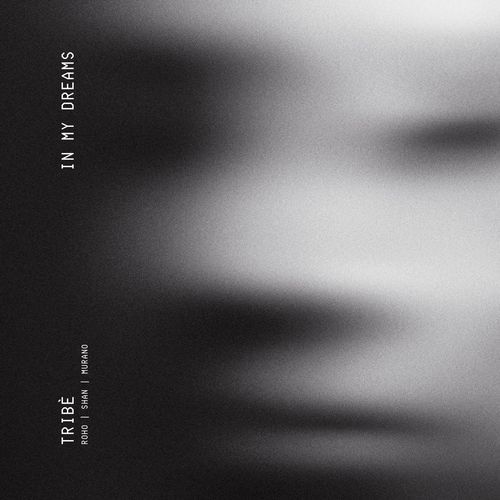 In My Dreams (Extended Mix)