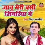 Janu Meri Basi Zigariya Main