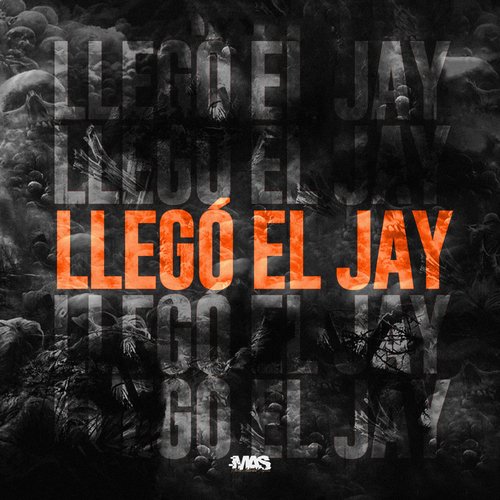 Llego El Jay_poster_image