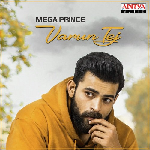 Mega Prince Varun Tej