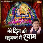 Mere Dil Ki Dhadkan Me Shyam
