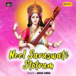 Neel Saraswati Stotram