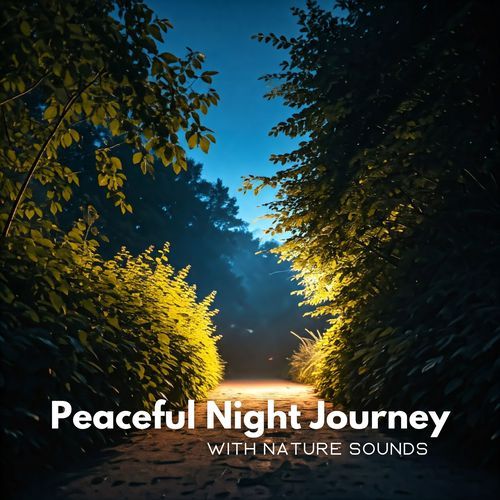 Peaceful Night Journey with Nature Sounds