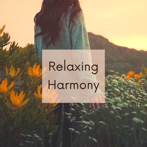 Relaxing Harmony: Meditation Music Inspired by Reiki Healing Energy