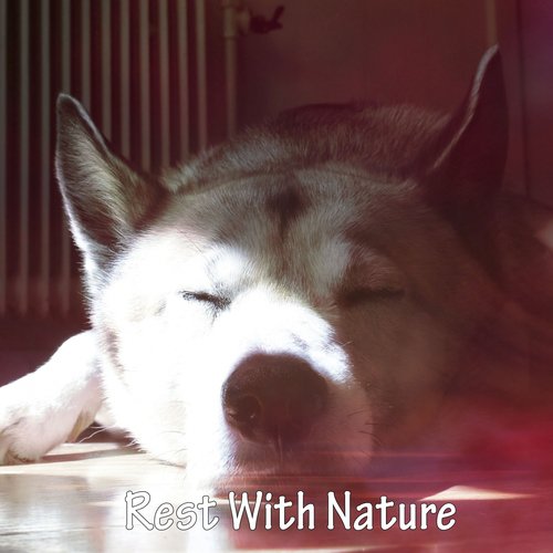Rest With Nature