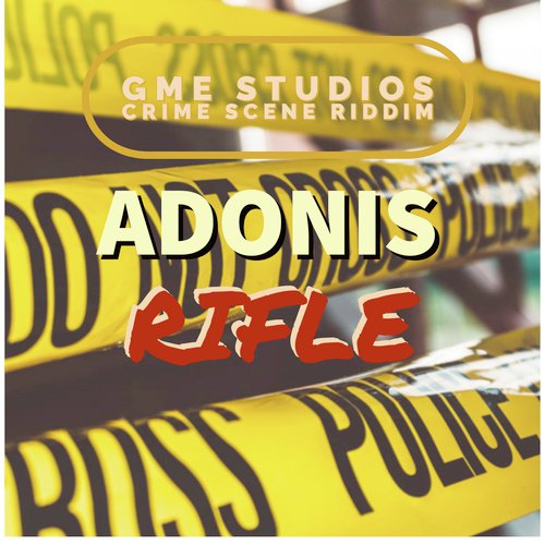 Rifle cover art