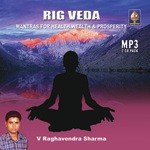 Rig Veda - Vol. 2 - Mantras For Health Wealth And Prosperity