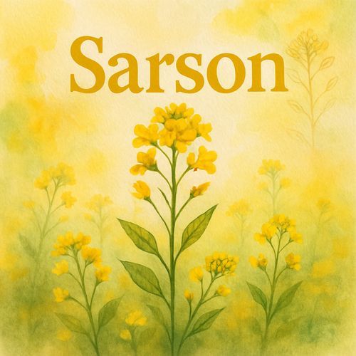 Sarson