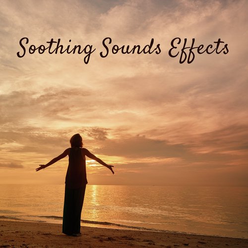 Relaxation Guru cover art