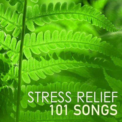 Stress Relief 101 - Anxiety Help, Music for Relieving Stress and Anxieties, Peaceful Sounds of Nature Background Piano Songs