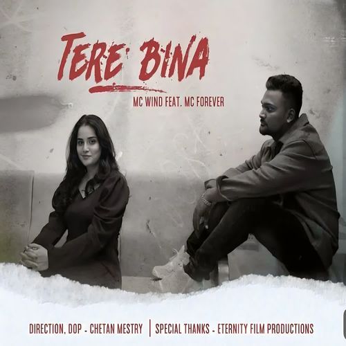 TERE BINA