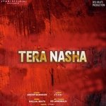 Tera Nasha ft. Jyani