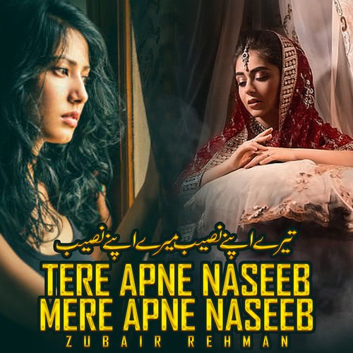 Tere Apne Naseeb Mere Apne Naseeb