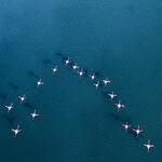 Thanks for Everything