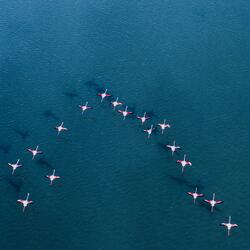 Thanks for Everything