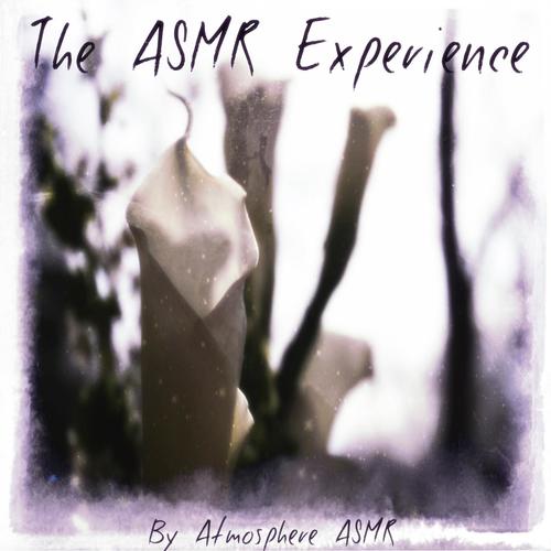 The Asmr Experience