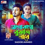 Valobasa Bujhli Nare