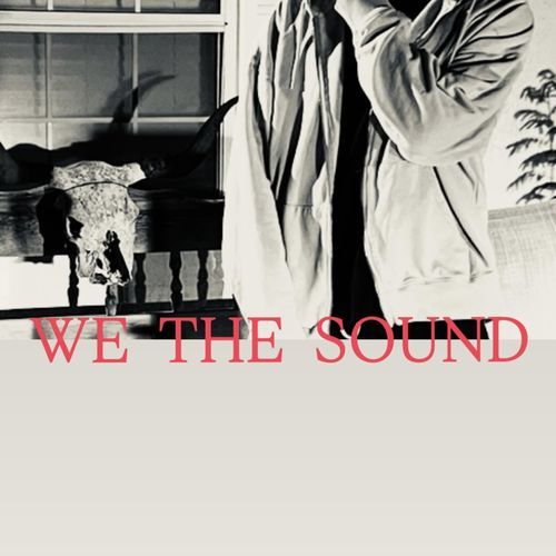 WAYNE cover art