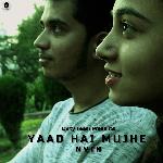Yaad Hai Mujhe (feat. N'VIN &amp; Hr!shi)