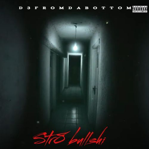 str8 bullshi cover art