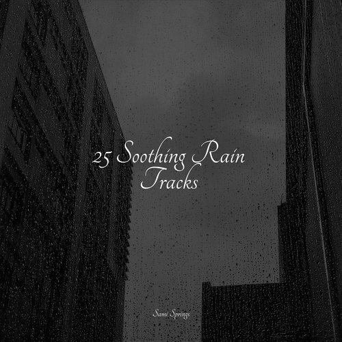Rain, Storm and Thunder cover art