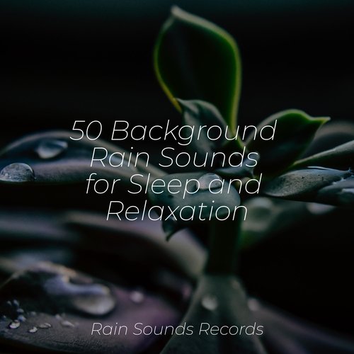 50 Background Rain Sounds for Sleep and Relaxation