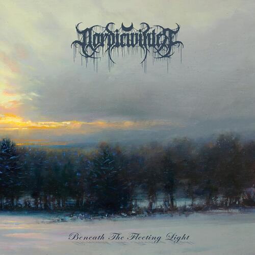 Into Nothingness cover art
