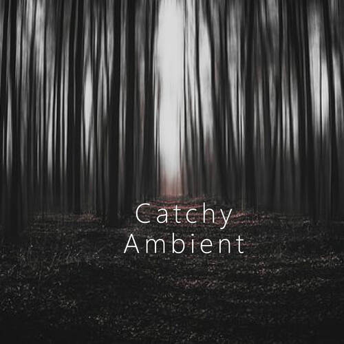 Catchy Ambient_poster_image