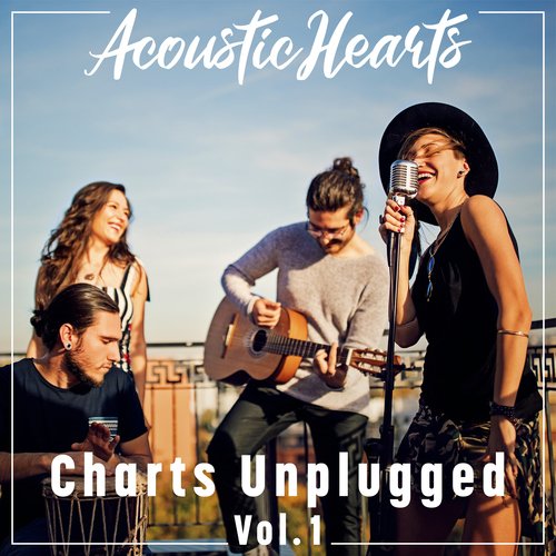 Charts  Unplugged, Vol. 1_poster_image