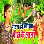Gaura Ho Bhangiya Pees Ke Lana