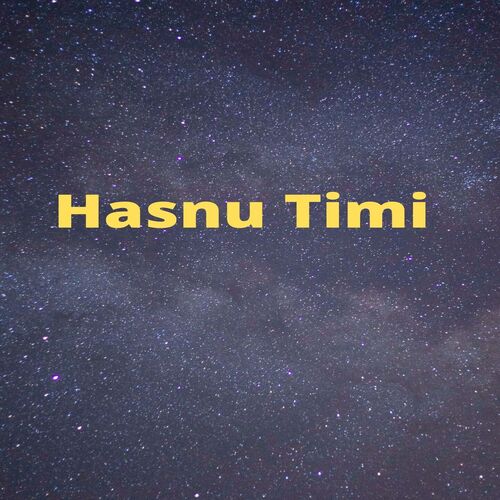 Hasnu Timi_poster_image