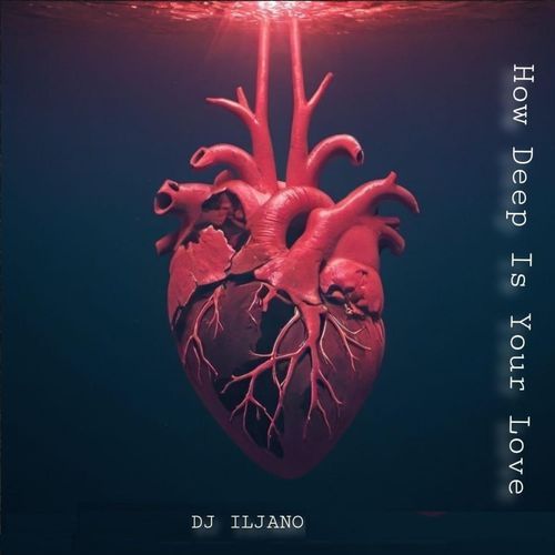 How deep is your love