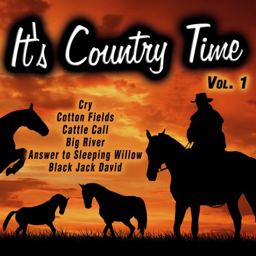 It's Country Time, Vol. 1