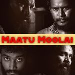 The Plan for Maatu Moolai