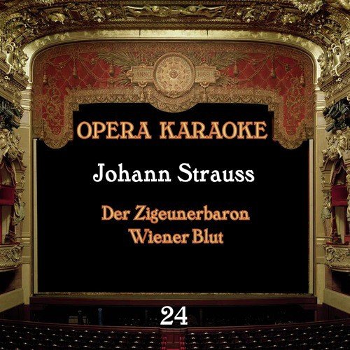Der Zigeunerbaron: Ensemble cover art
