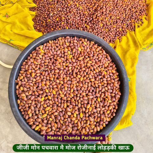 जीजी मोन पचवारा मै मोज रोजीनाई लोहड़की खाऊ