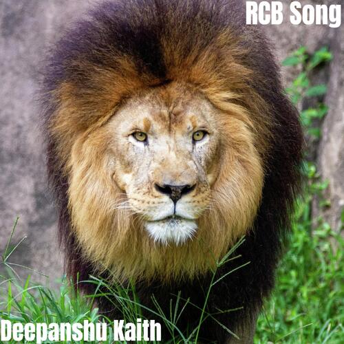 RCB Song cover art