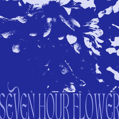 Seven Hour Flower_poster_image