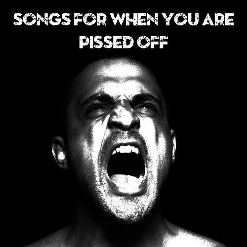 Songs for When You Are Pissed Off: Heavy Metal, Death Metal, Doom Metal, Black Metal, Power Metal, And Grindcore for When You Need to Blow Off Some Steam
