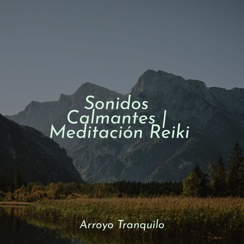 Momentos De Meditación cover art
