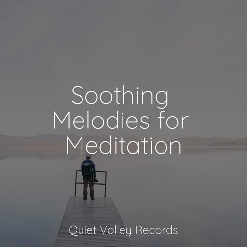 Soothing Melodies for Meditation