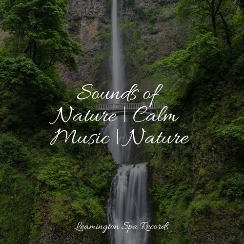 Meditating Music cover art