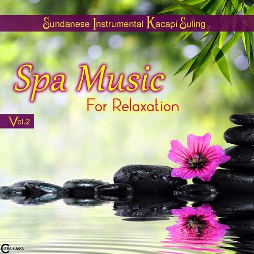 Spa Music for Relaxation, Vol. 2