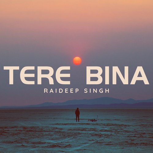 Tere Bina