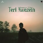 Teri Awazein